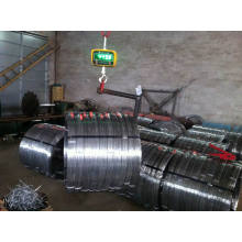 Aço Carbono 1045 Galvanizado Oval Wire